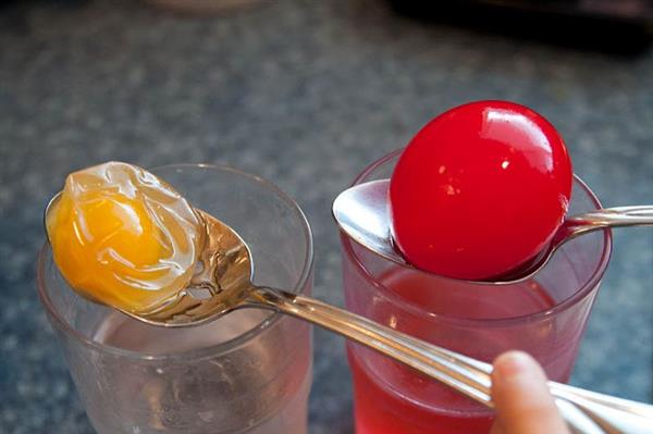 Egg Experiment